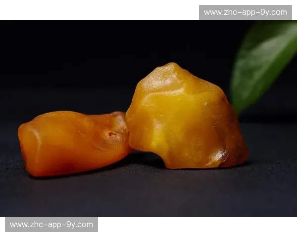 琥珀与丝绸的交锋:当“东方巨龙”遇见“波罗的海之魂”,谁在重塑未来的边界?